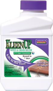 KleenUp 41 Concentrate - Goffle Brook Farms