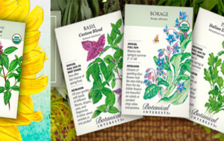Vegetable Seeds in Bergen County - Goffle Brook Farms
