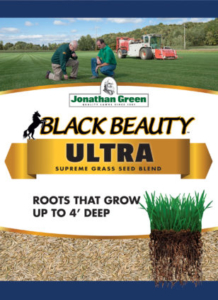 Black Beauty Ultra - Goffle Brook Farms
