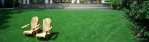 Green Lawns with Jonathan Green Lawn Care Products