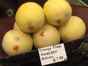 Honey Dew Melons at Goffle Brook Farms
