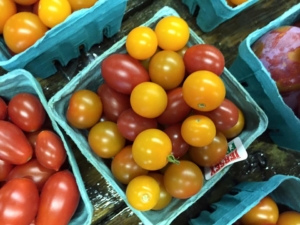 Tomatoes at Goffle Brook Farms