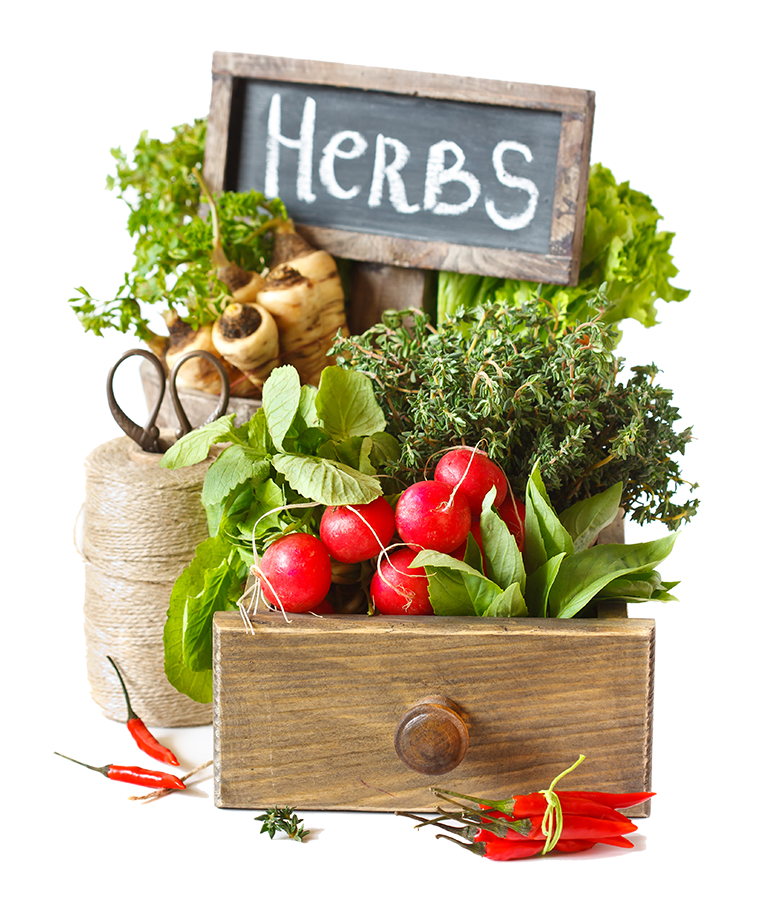 Cooking with Herbs - Goffle Brook Farms