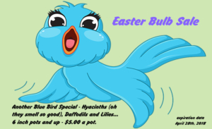 Its an Easter Bulb Sale at Goffle Brook Farms
