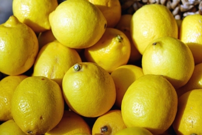 Lemons at Goffle Brook Farms in Ridgewood NJ