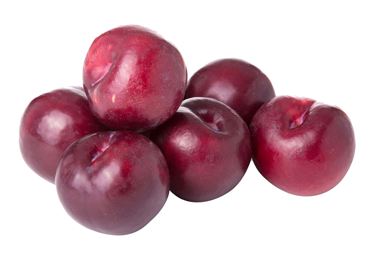 Red Plums at Goffle Brook Farms in Ridgewood NJ
