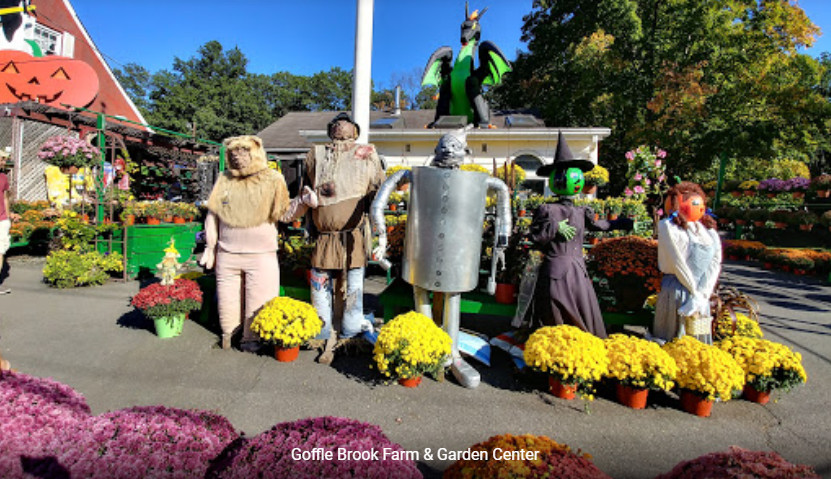 Follow the Yellow Brick Road to Goffle Brook Farms for Family Fun