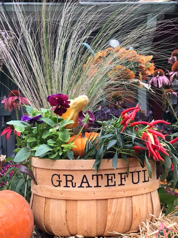 Our gratitude and thanks - Goffle Brook Farms