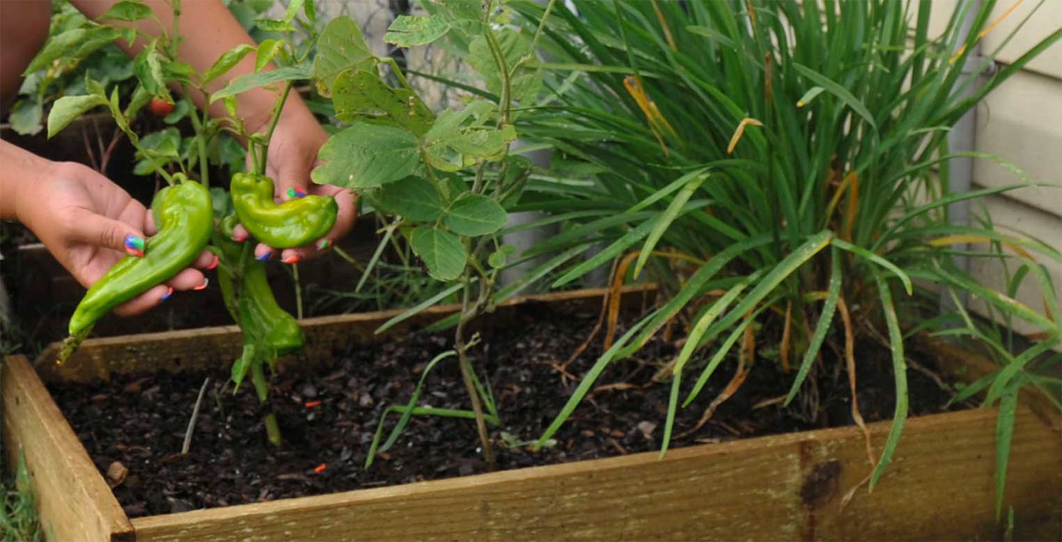 Container Gardening Success at Goffle Brook Farms