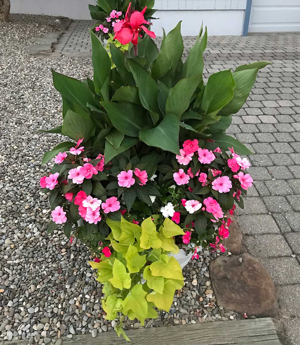 Seasonal Color Containers at Goffle Brook Farms in Ridgewood NJ