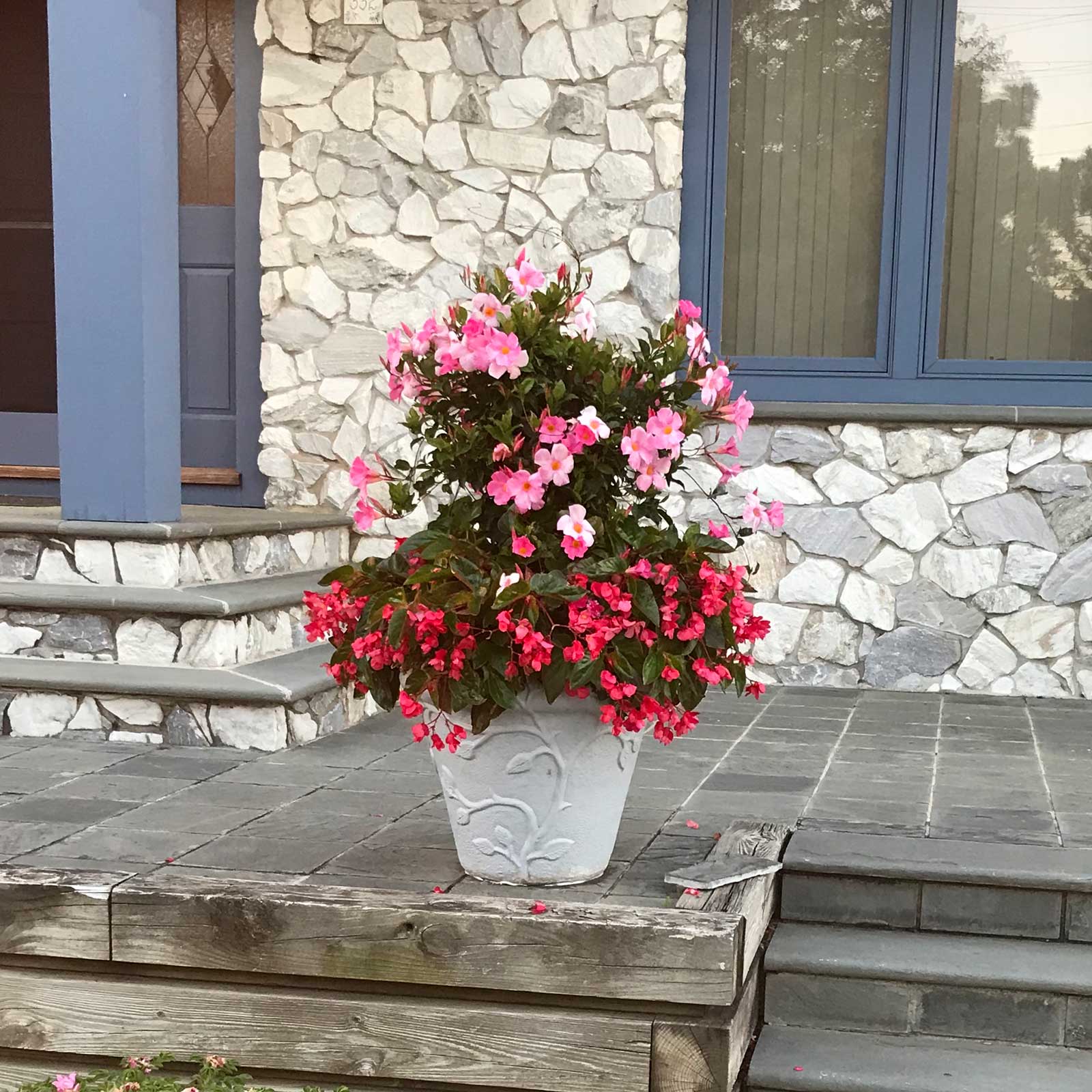 Seasonal Color Porch and Patio Containers at Goffle Brook Farms