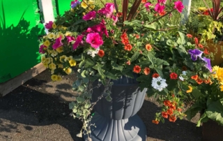 Seasonal Color Porch and Patio Containers at Goffle Brook Farms