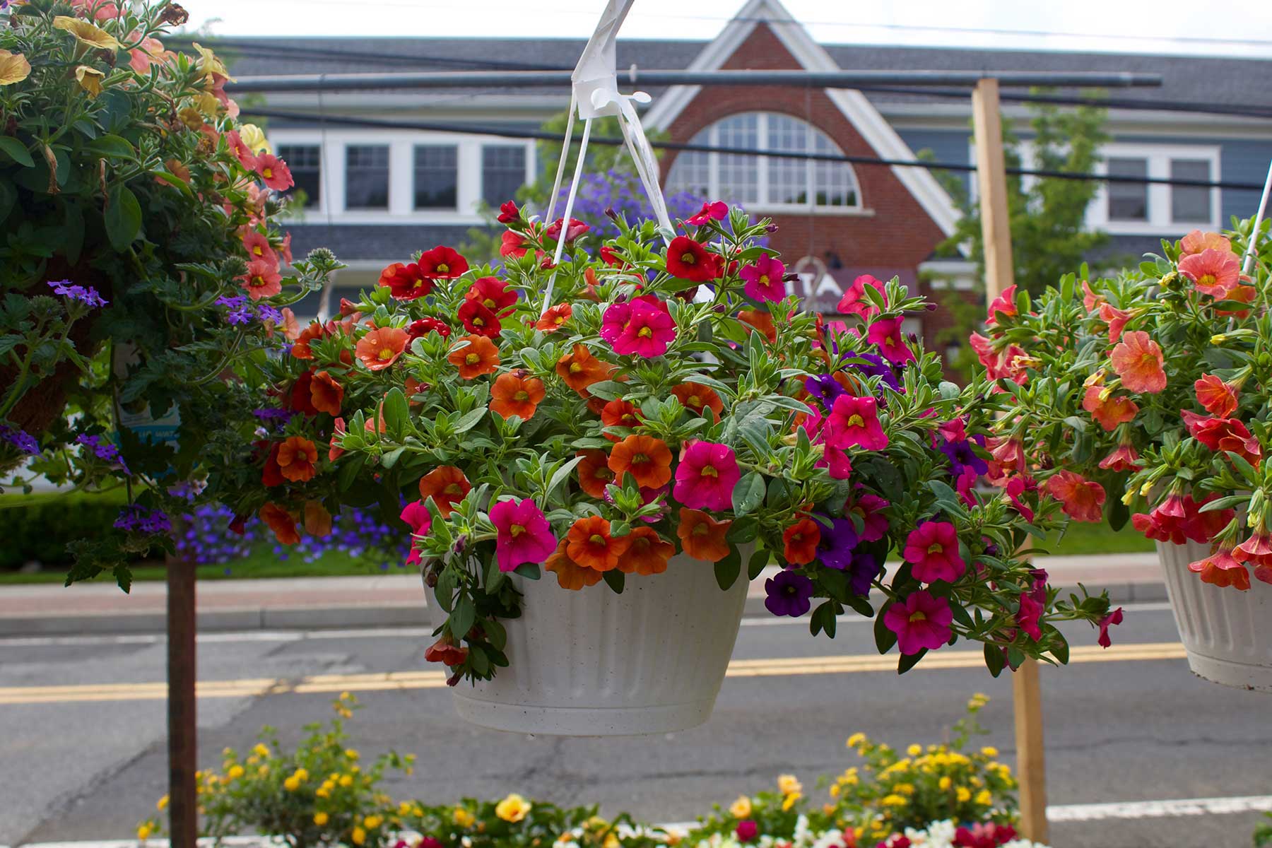 Hanging Baskets - Goffle Brook Farms