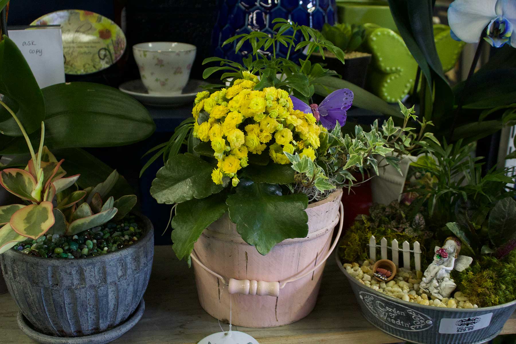 Stunning Patio Containers