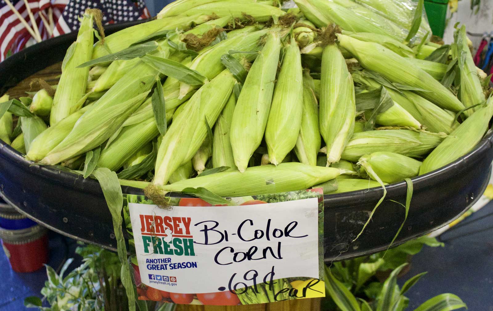 bi-color-corn