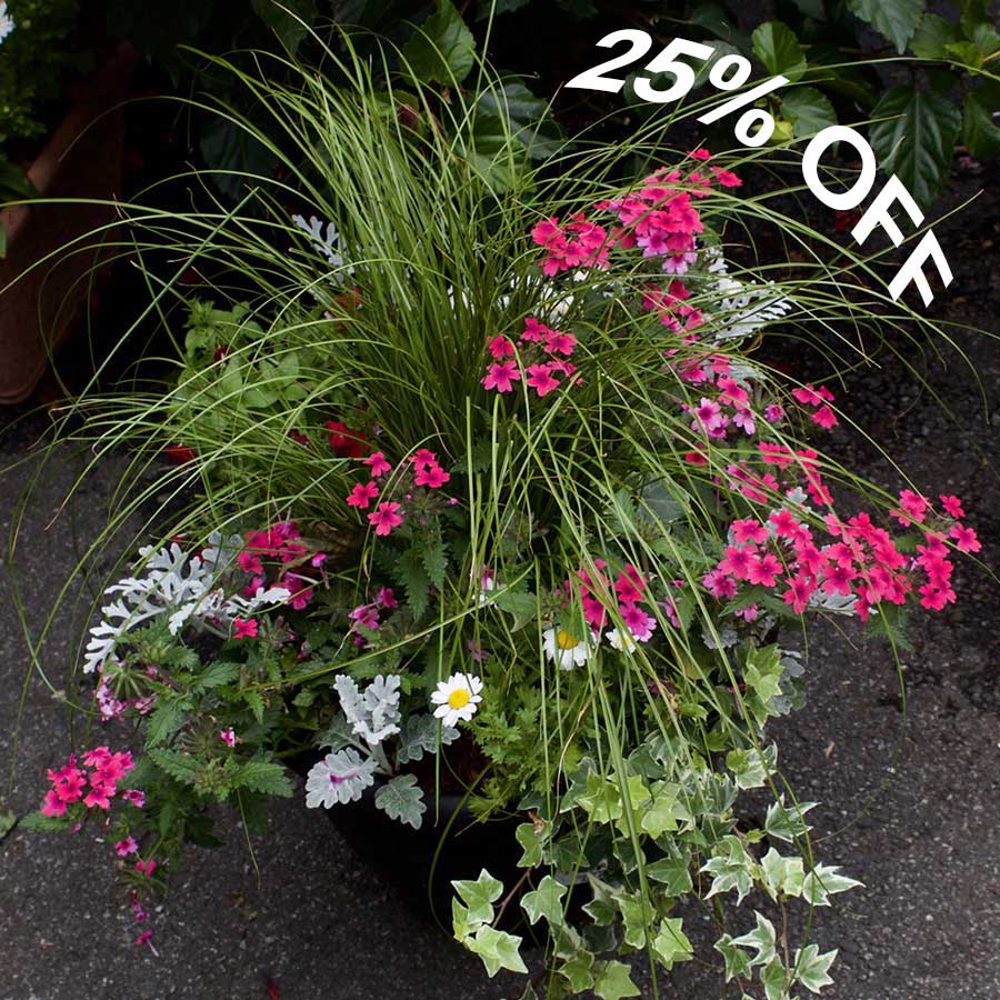 Container Gardening Sale save 25%
