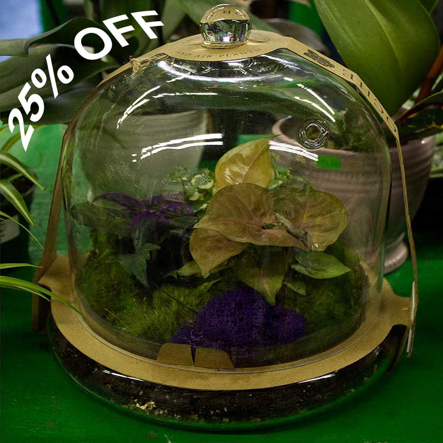 Garden Decor Sale save 25%