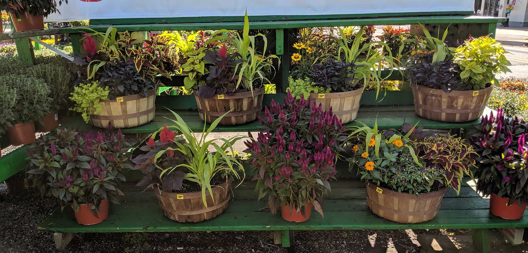 Colorful Autumn Containers for the Home and Business