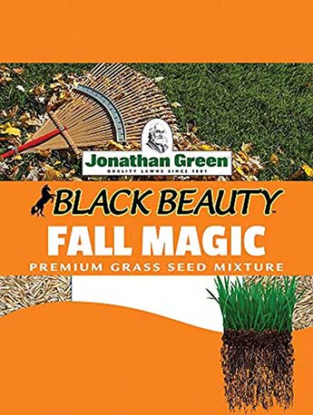 Jonathan Greed Black Beauty Fall Magic