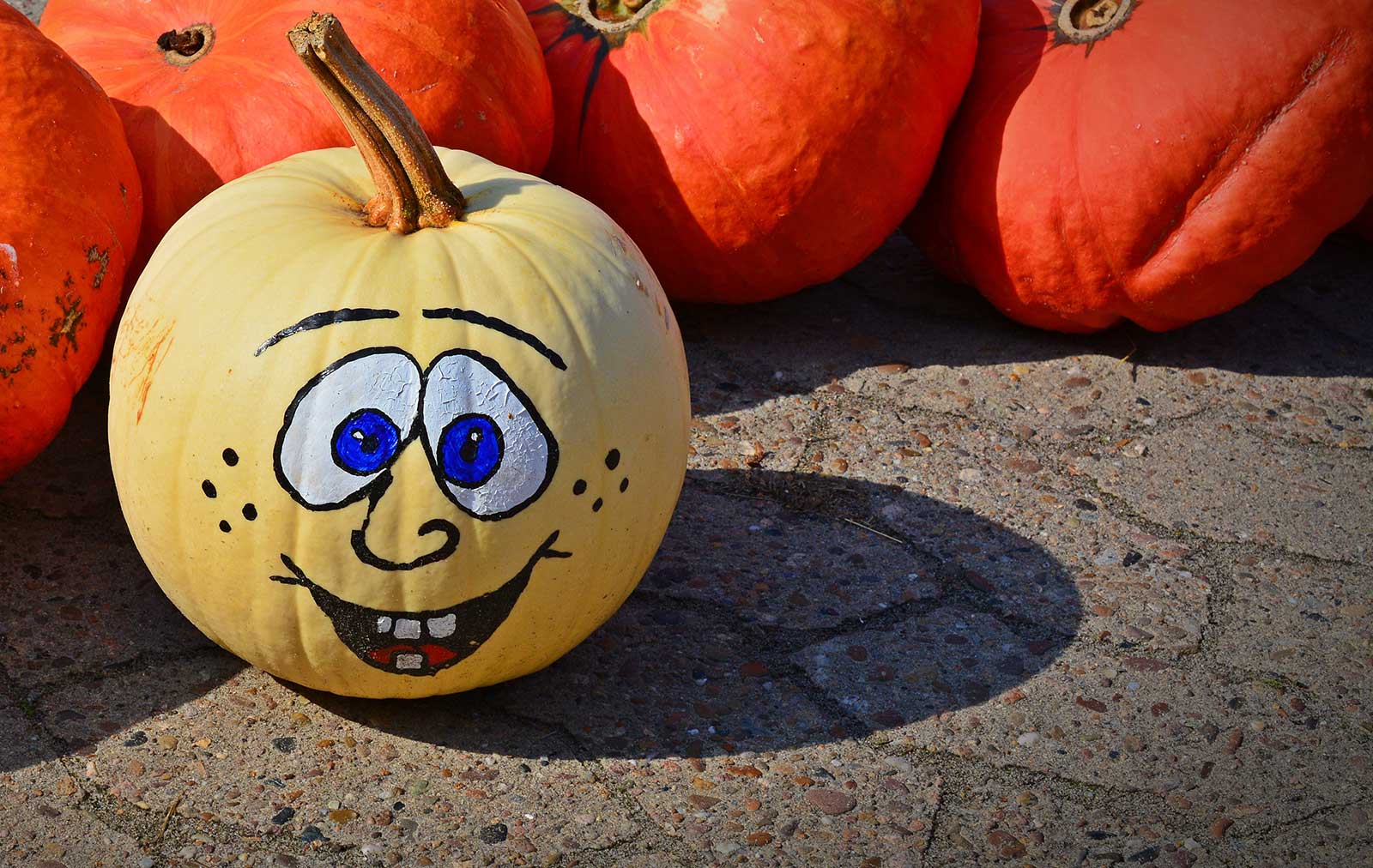 Funny Painted Pumpkin