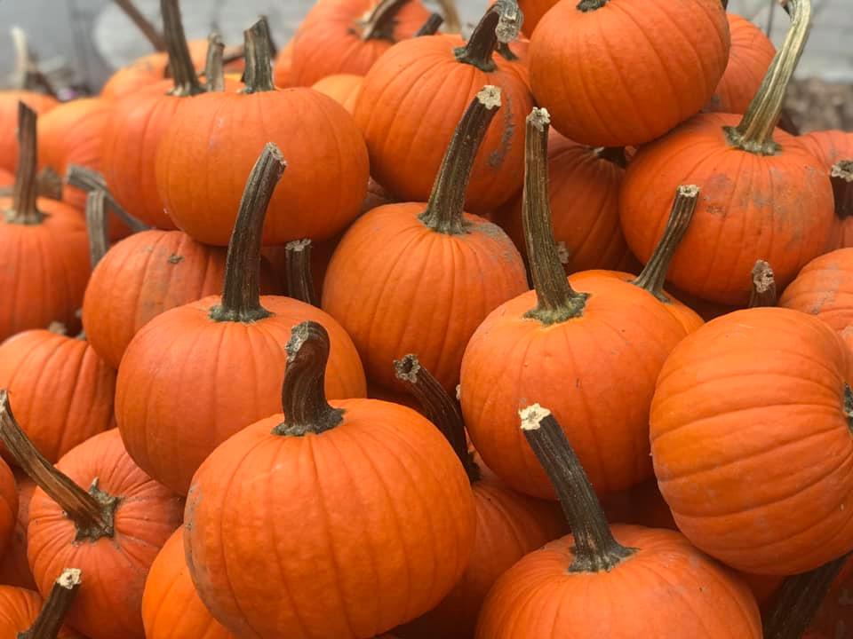 Pumpkins and Autumn Decor