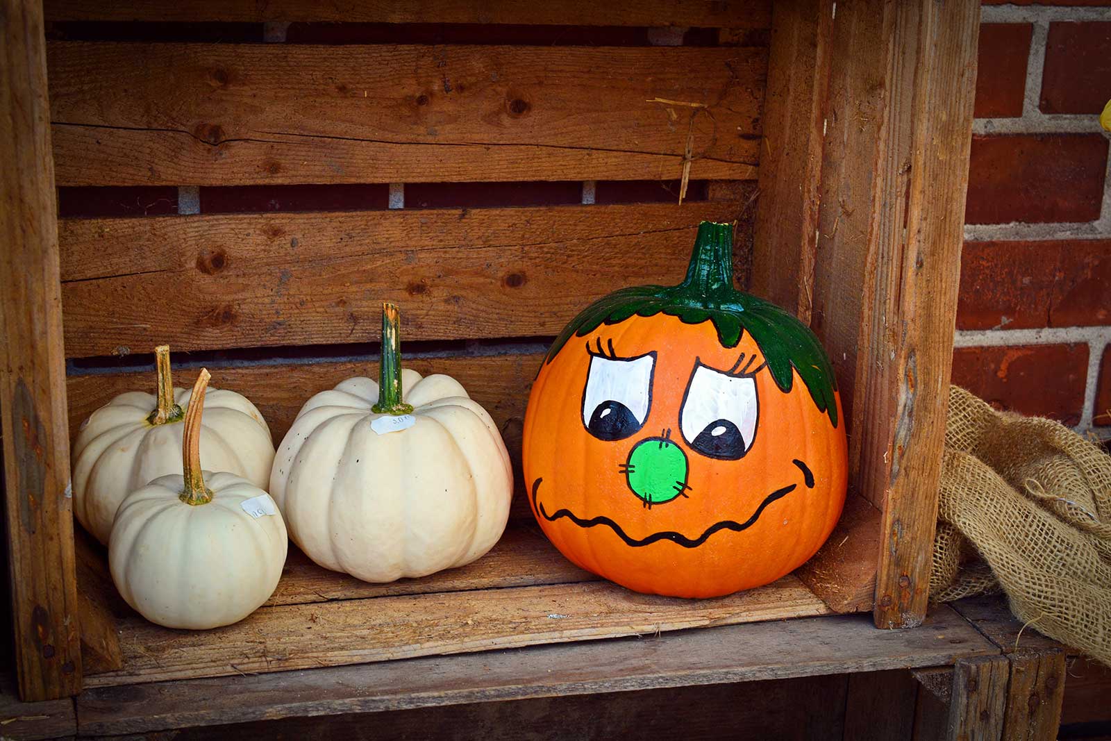 Painted Pumpkins and Autumn Decor at Goffle Brook Farms