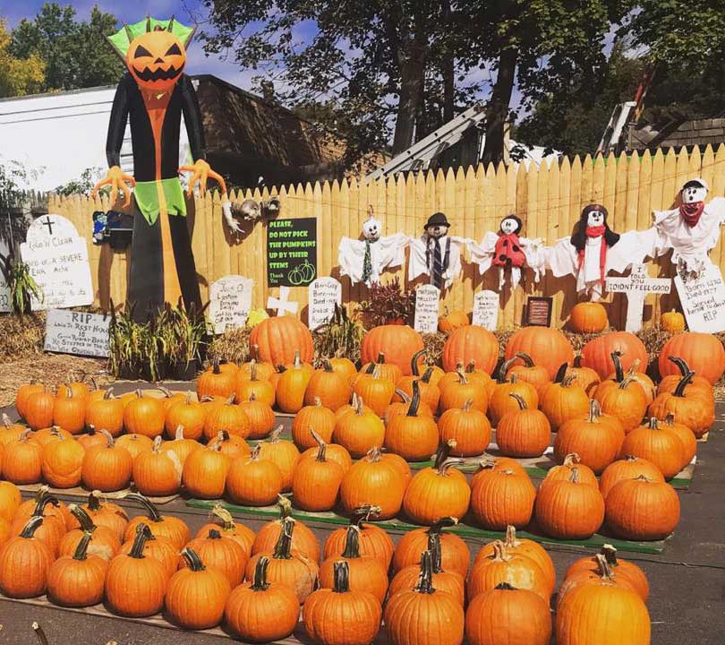 The Pumpkin Patch at Goffle Brook Farms
