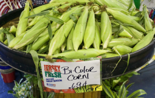 Fresh BiColor Corn
