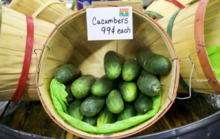 Fresh Local Cucumbers