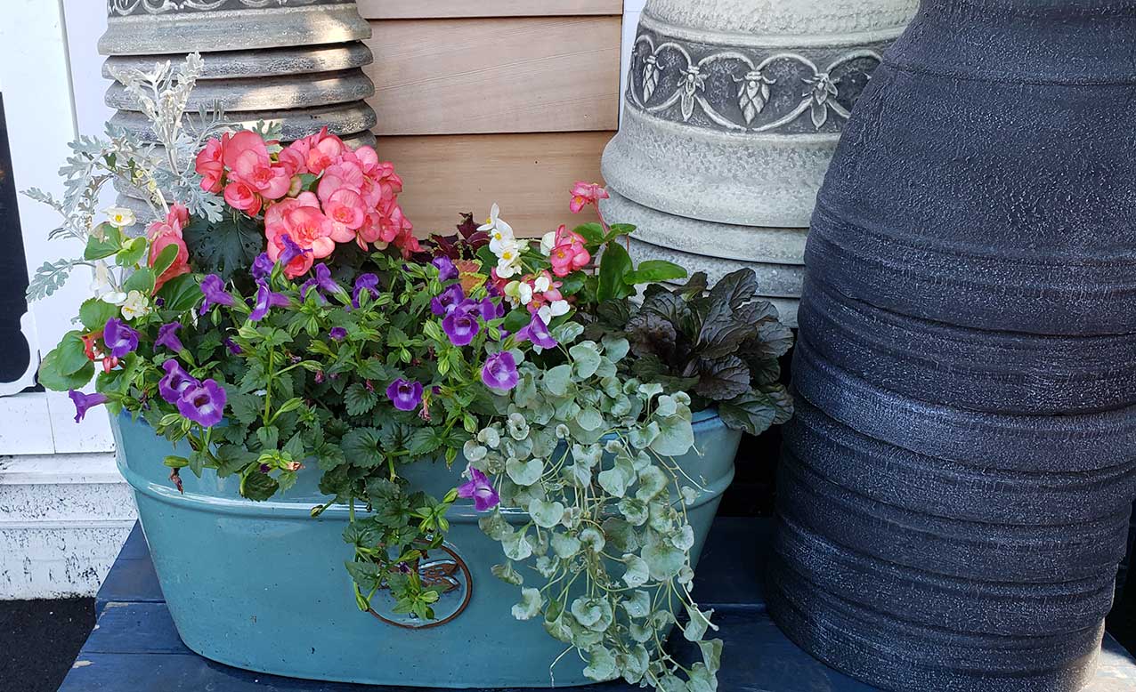 Container Gardening at Goffle Brook Farms in Ridgewood NJ