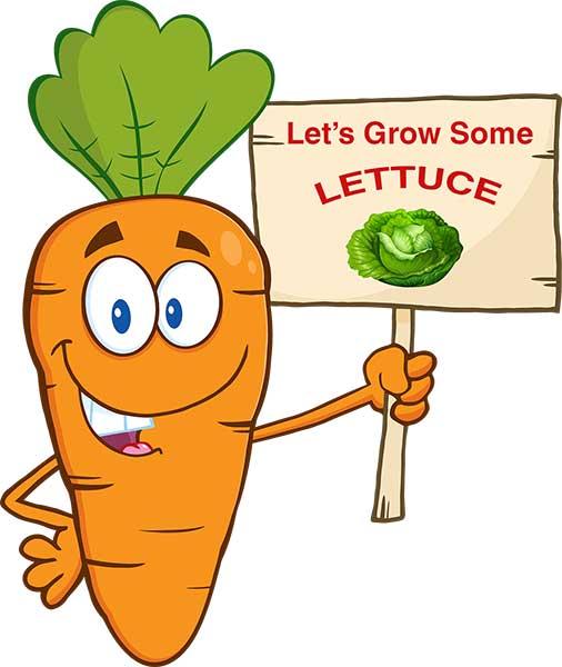Let Grow Some Lettuce