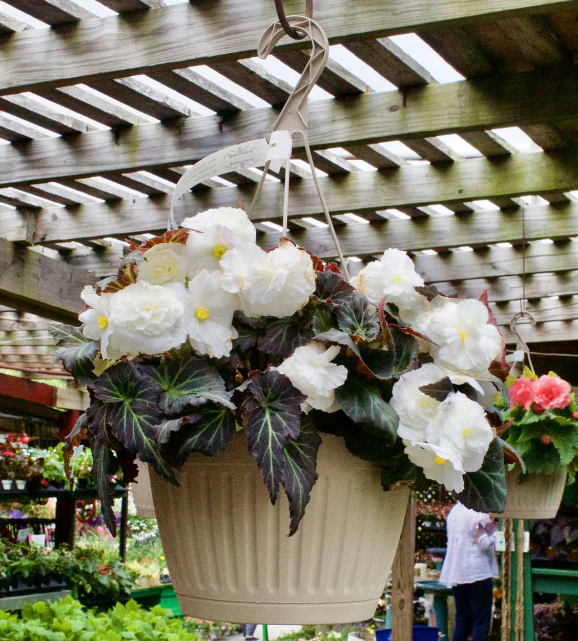 Mother's Day White Hanging Basket