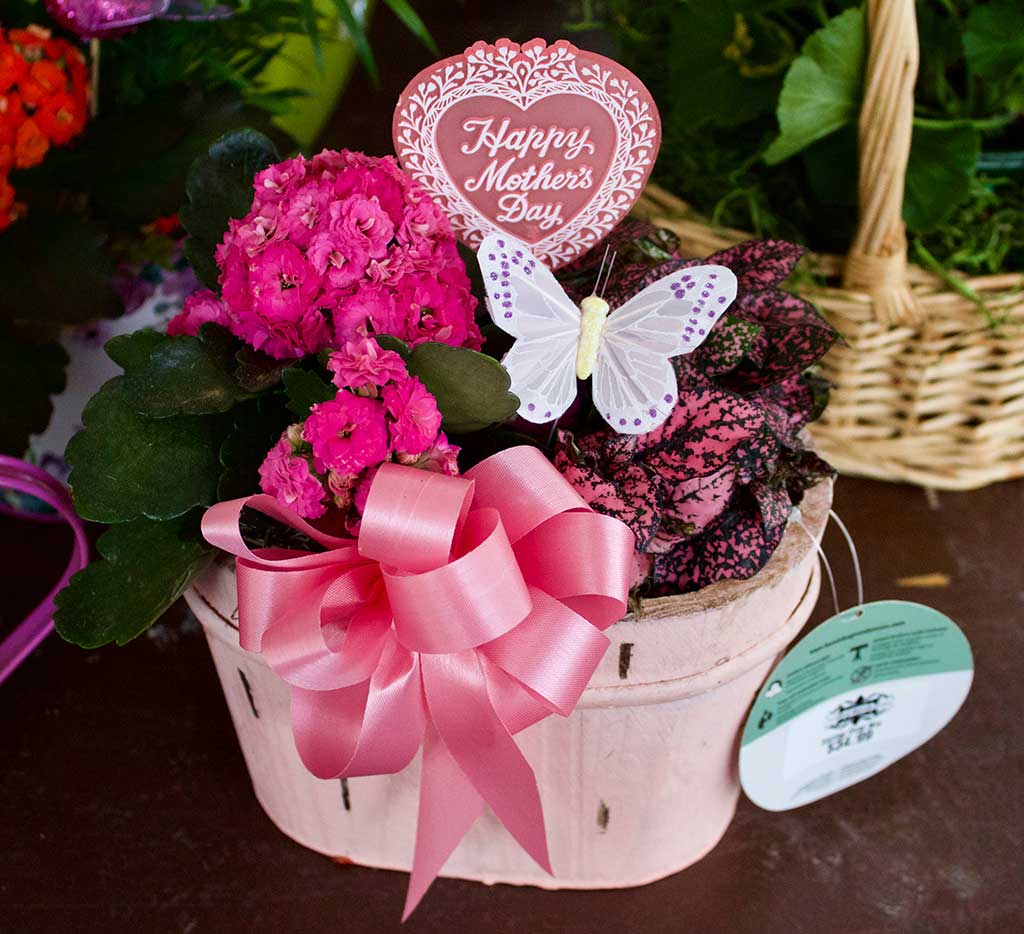 Mothers Day Gifts at Goffle Brook