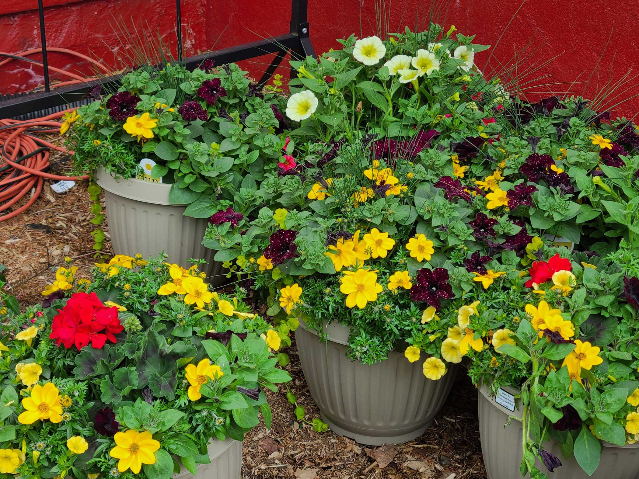 Mothers Day Porch and Patio Garden Containers at Goffle Brook Farms