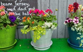 Mothers Day Gifts of Potted Patio Containers