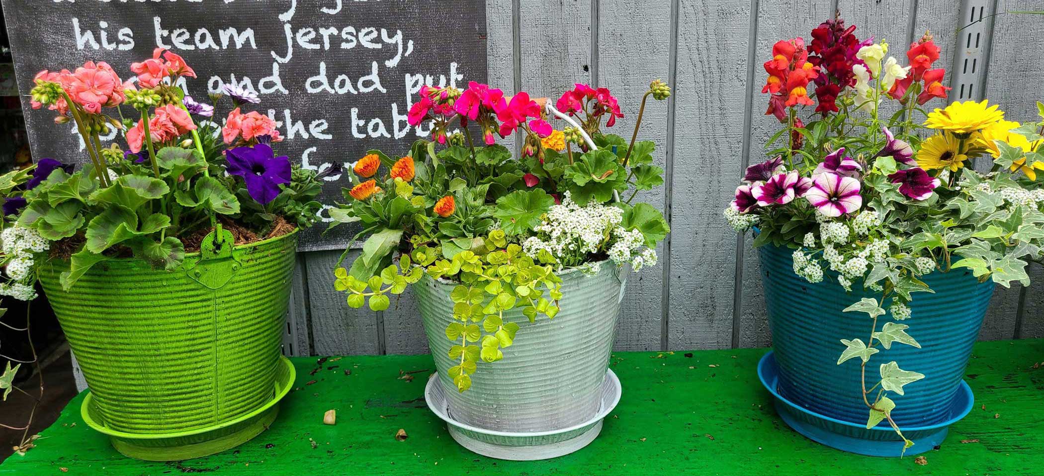 Mothers Day Gifts of Potted Patio Containers