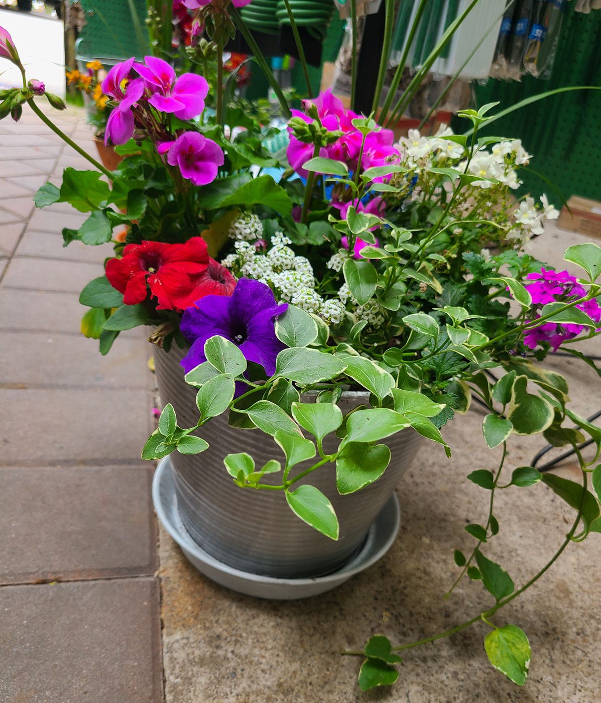 Custom Garden Containers at Goffle Brook Farms