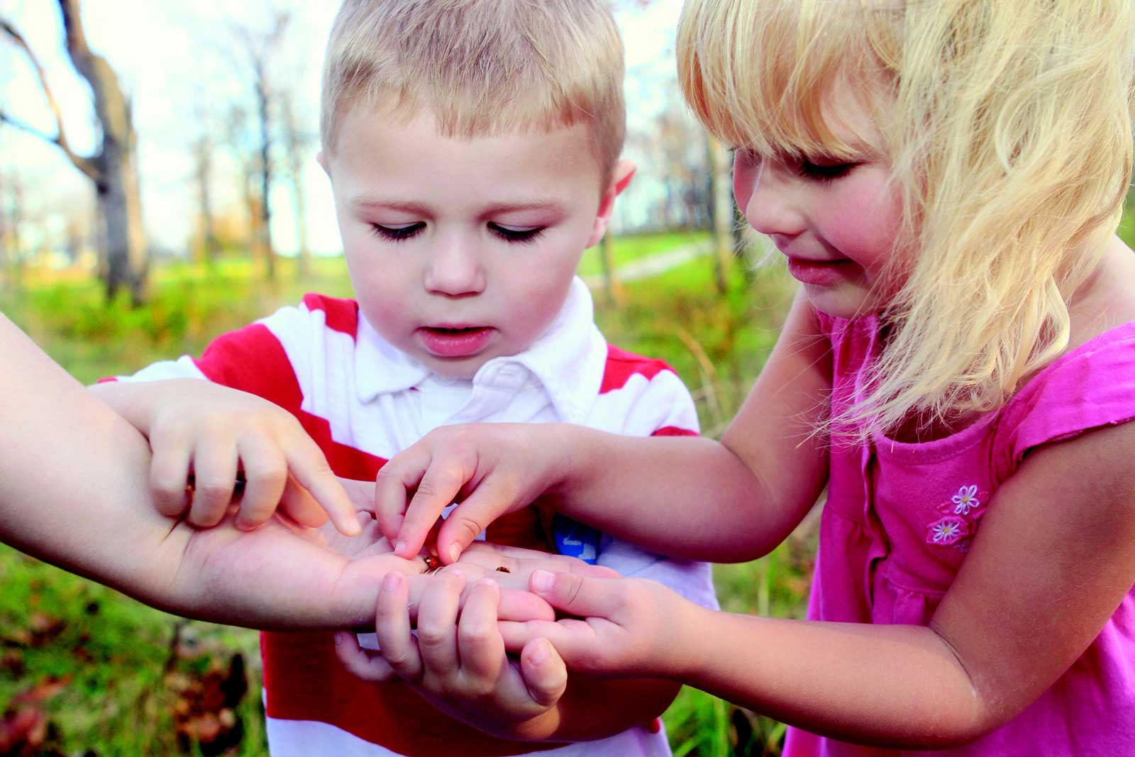 Teaching Children about Mother Nature and Gardening