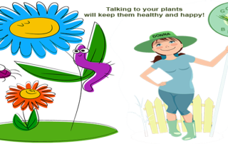 Donna says Talk to your plants - it really works