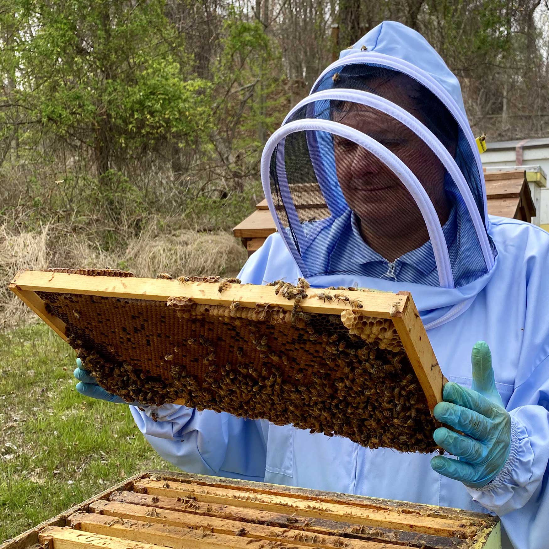 Frank the Beeman and his Honey Bees