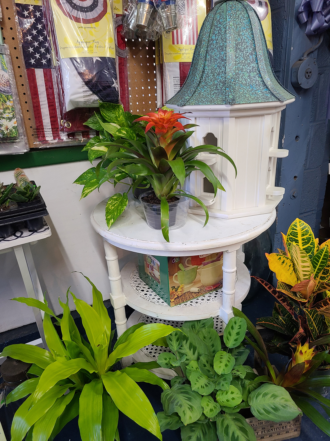 Houseplants and Decor at Goffle Brook Farms