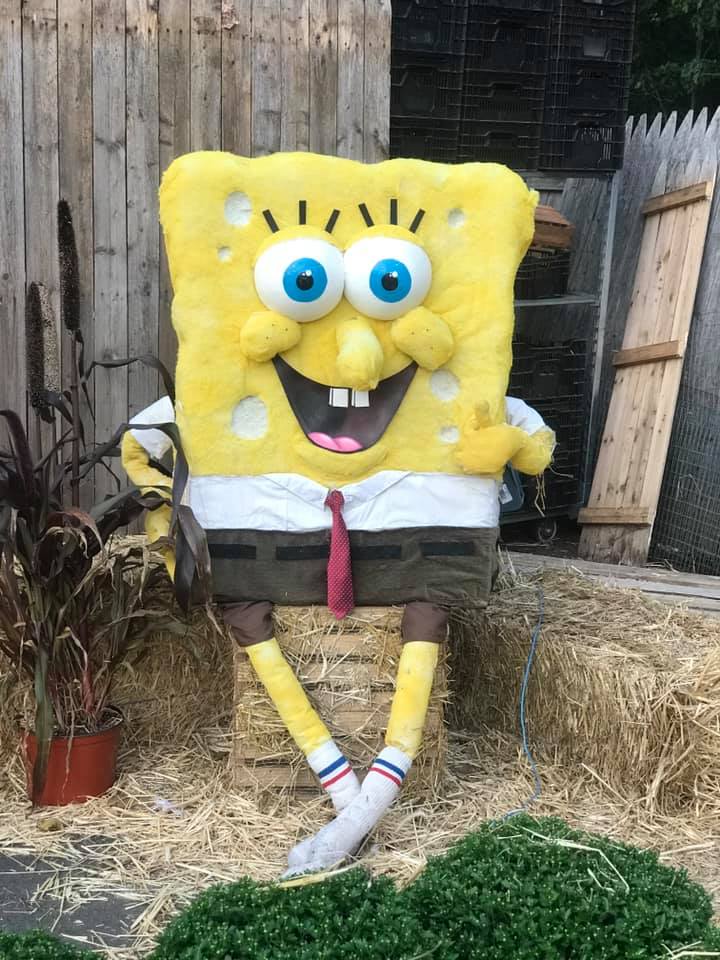 Spongebob at the Garden Center