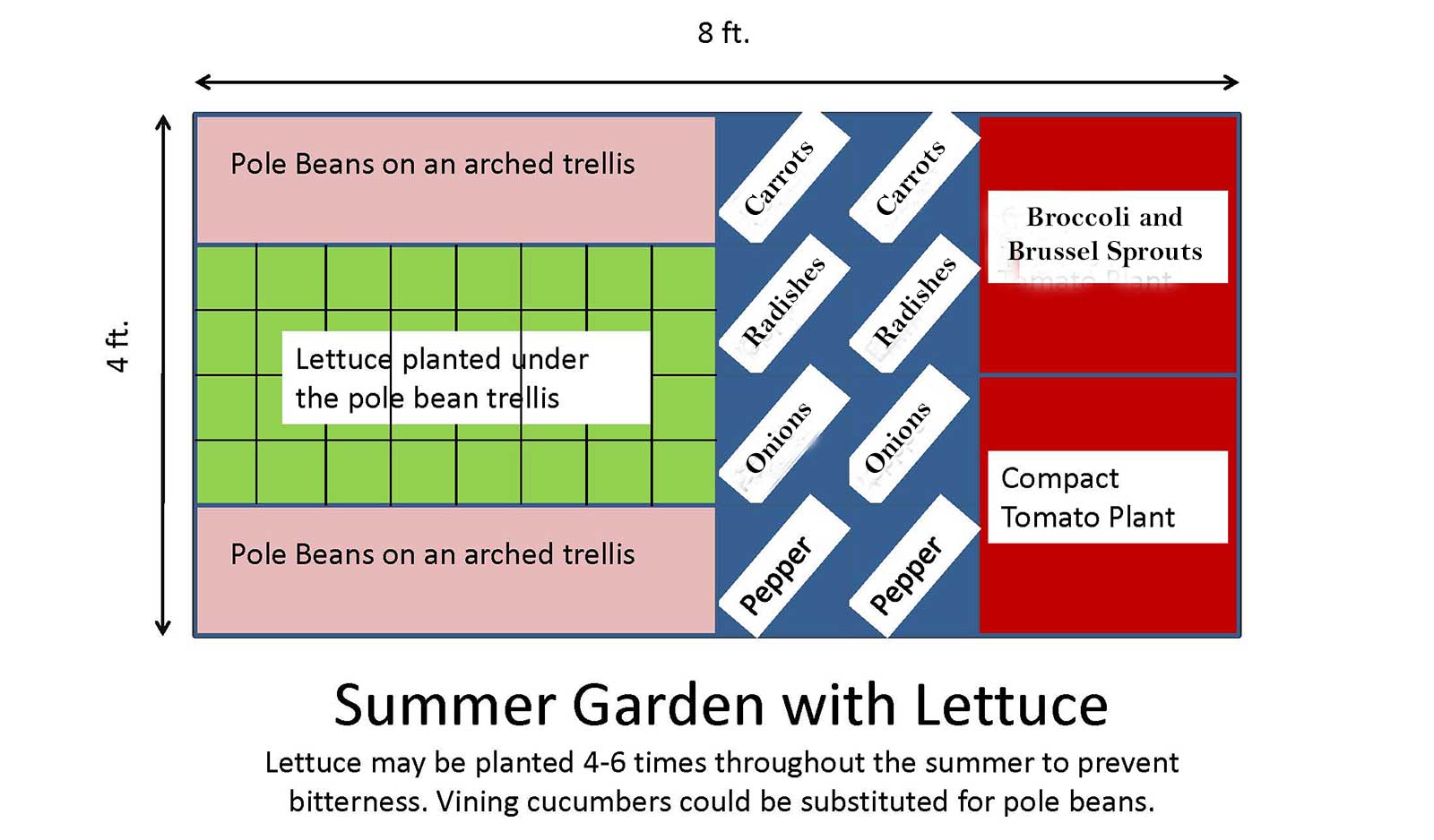 Summer Garden Vegetable Plan