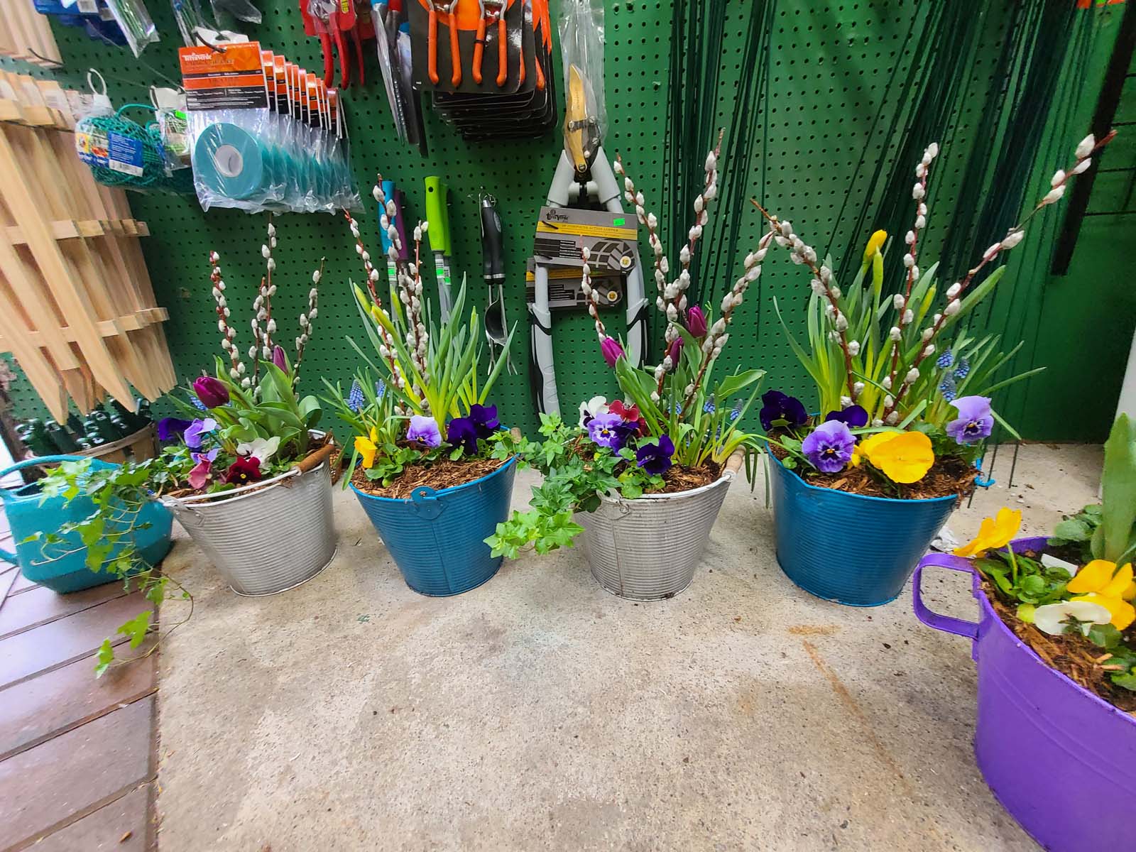 Springtime Pansy Containers with Pussy Willows