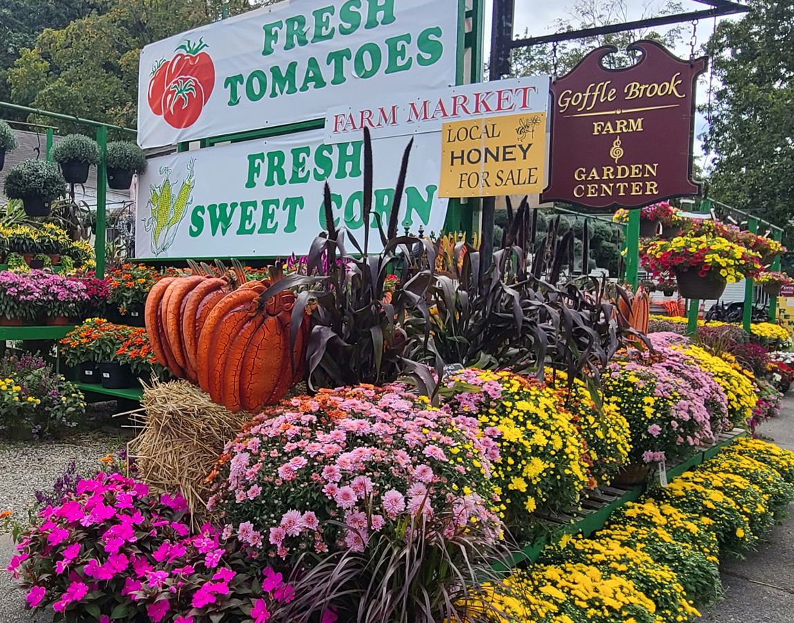 Goffle Brook Farms located in Ridgewood NJ is a full scale garden center, nursery and farmers market serving the Northern New Jersey areas of Bergen County.