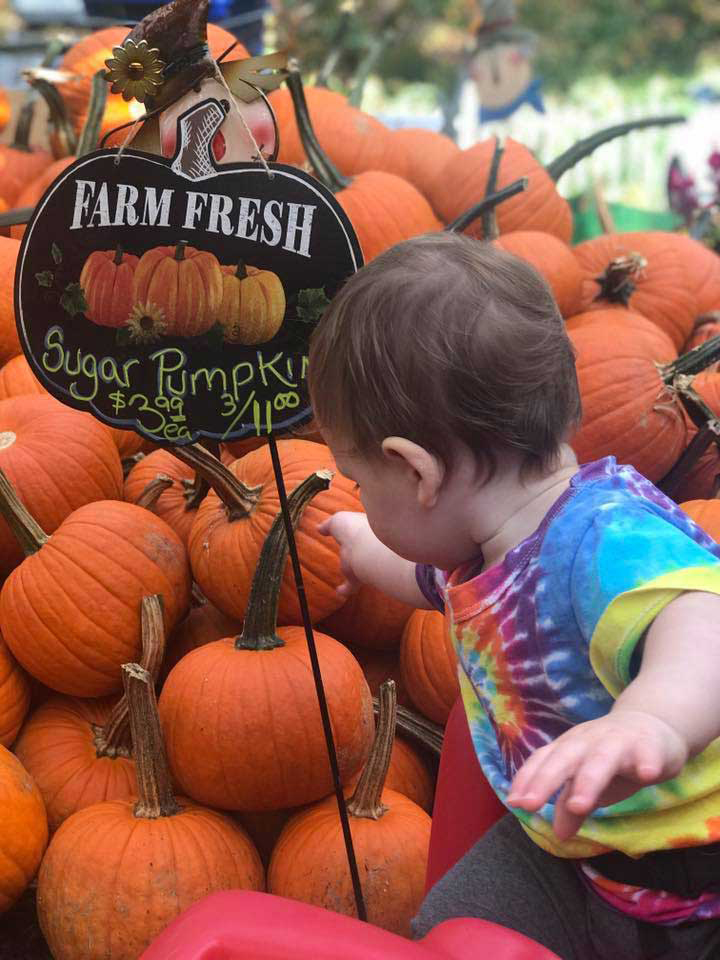 One of our most cherished memories was last year when this child was picking out his very first pumpkin ever on his first birthday!