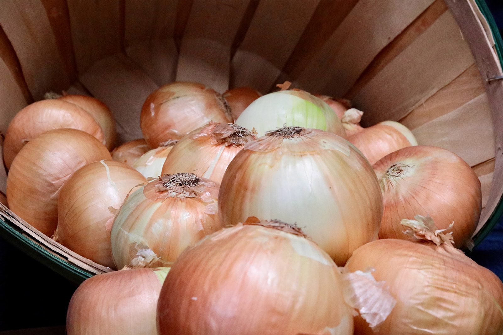 Fresh Local Onions