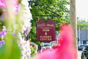 Chosen as one of the TOP 9 Garden Centers in New Jersey