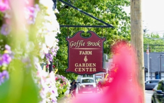 Goffle Brook Farm is a unique garden center in Ridgewood that has been providing locals with the best flowers, grass seed, gardening supplies and produce for over 40 years. As a family-owned business, the experience at Goffle Brook Farm is much different than what you might expect from a larger chain store such as Lowe’s or Home Depot. We take pride in the fact that we have maintained the old-fashioned quality and service that was present decades ago.