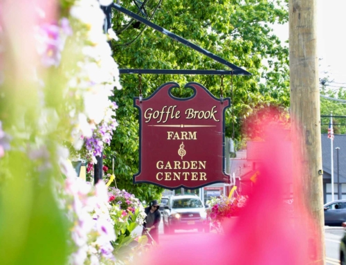 Chosen as one of the TOP 9 Garden Centers in New Jersey